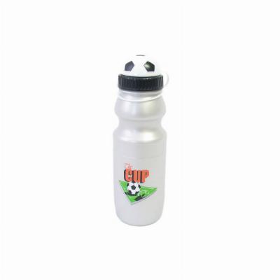 BIDON 700ml 'THE CUP - FOOTBALL'